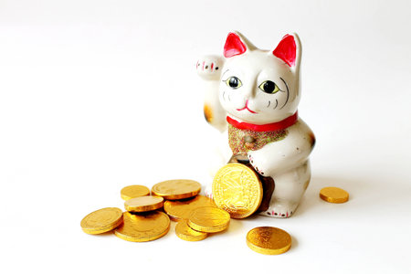cat beck money,cat doll and gold coinの写真素材