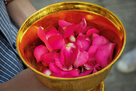 Rose in bowlの写真素材