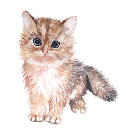 Cat painted in watercolor.Brown fluffy kitten isolated on white background.Hand draw cute funny cat.Animal watercolor sketch.Pet illustration.のイラスト素材