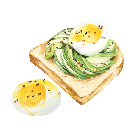 Avocado sandwich with soft-boiled egg, sliced avocado and eggs on toast for breakfast or healthy snacks.Healthy snack illustrations drawn by hand, painted with watercolors.のイラスト素材