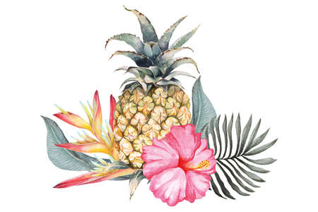 Pineapple and hibiscus flower composition with watercolor.Tropical flowers,leaves and monstera.Isolated on white background.の写真素材