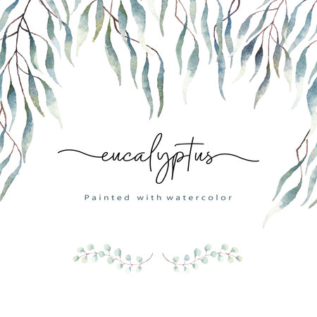 Eucalyptus leaves and plants, branches, leaves painted with watercolor.For background or wallpaper, wedding invitation, posters, save the date or greenery design.Minimal frame.Seamless pattern.のイラスト素材