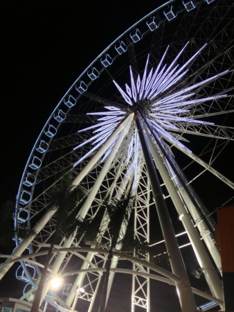 Ferris wheel in Chaophraya riverの素材
