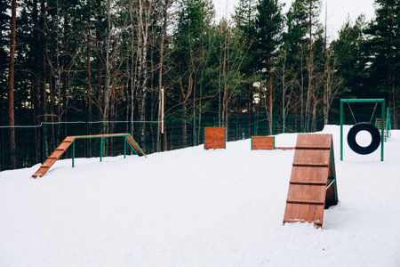 platform for walking dogs. Site for training dogs. Winter.