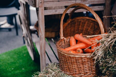 Peasant food in the farmers style: potatoes, carrots in wooden boxes and karzin on green grass.の写真素材