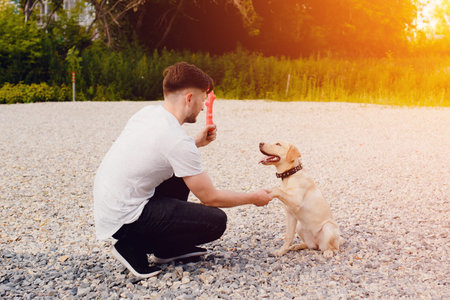 man of European appearance trains a puppy of a Labrador dog, teaches to give a paw. The concept of...