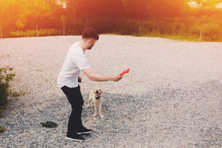 man of European appearance is trained by a Labrador dog puppy, throws a stick and plays. The concept of friendship between man and animals.の写真素材