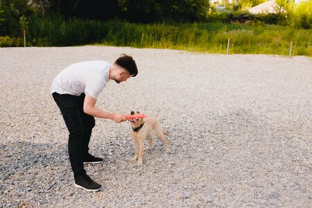 man of European appearance is trained by a Labrador dog puppy, throws a stick and plays. The concept of friendship between man and animals.の写真素材