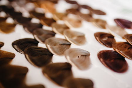 Palette with variations of hair color. Colorful hair tone optionsの写真素材