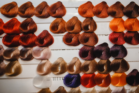 Palette with variations of hair color. Colorful hair tone optionsの写真素材
