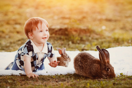 animal, child, rabbit, bunny, carrot, farm, girl, kid, cute, pet, day, white, love, outdoor, park, people, grass, care, small, smile, sun, little, baby, beautiful, beauty, bow, celebrate, childhood, curly, dress, easter, family, fun, funny, fur, garden, gの写真素材