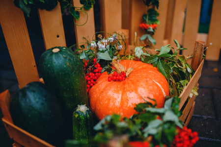 Pumpkin, mountain ash, zucchini in a wooden box. Concept Autumn picking of vegetablesの写真素材