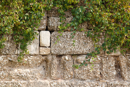 Texture of old bricks, castle wall and ancient ruins. backgroundの写真素材