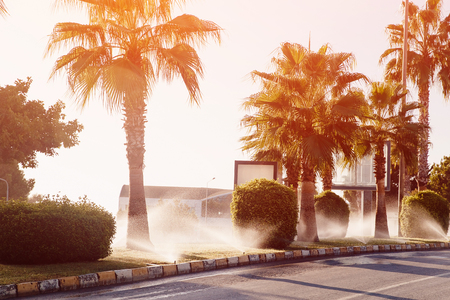 Lawn sprinkler spaying water over green grass. Irrigation system of streetの写真素材
