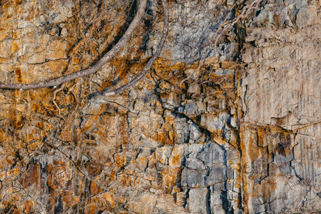 Cut of the rock and soil of the earth, the texture of the stone, the roots of the trees, a landslide...