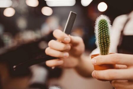 Barber shop. Close-up of barber holds razor and cactusfor shaving his beardの写真素材