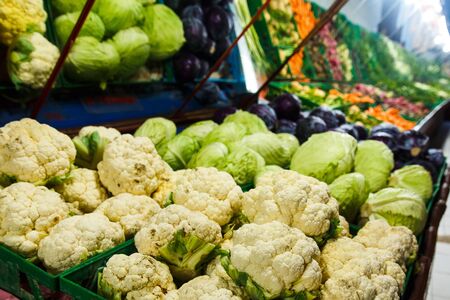 Shop bazaar fruits and vegetables. Set of vegetables colored and green cabbageの写真素材