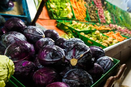 Store bazaar of fresh farm products. Purple cabbageの写真素材