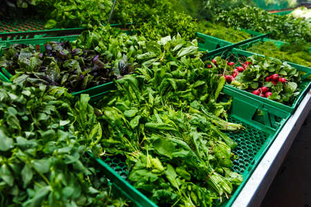 Store bazaar of fresh farm products. a set of herbs: dill, parsley, radishの写真素材