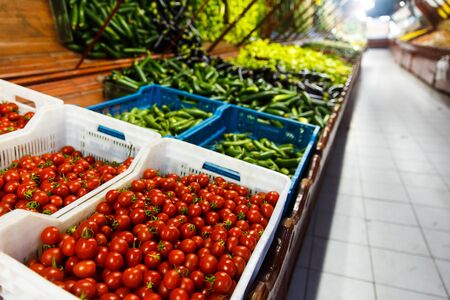 Shop bazaar fruits and vegetables. Set of Vegetables Tomatoes, Cucumber, Eggplantの写真素材
