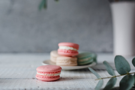 Macaroon. Macaron on gray neutral loft background, stand on plate of different colors. Wooden background.の写真素材