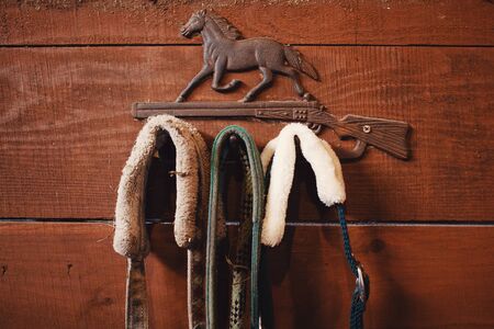 Close-up of bridle for horse in pen stable for horses, wooden backgroundの写真素材