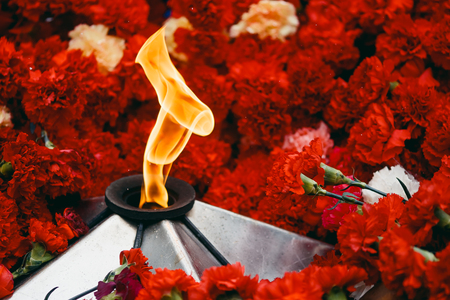 Background of red carnations, eternal fire, soldiers' helmets.の写真素材