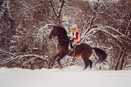 Rider young girl rides brown horse through winter fore. Concept of high speedの写真素材