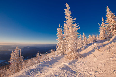 Dawn in winter forest, in background ski resort ski liftの写真素材