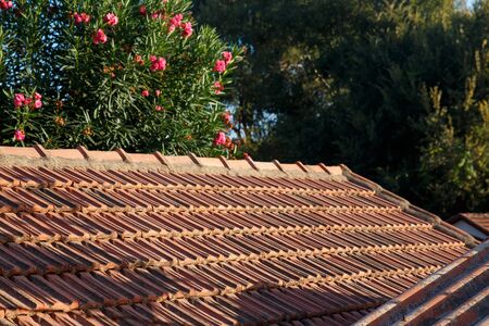 Roof tiles, green trees in the background. Old masonry housesの写真素材
