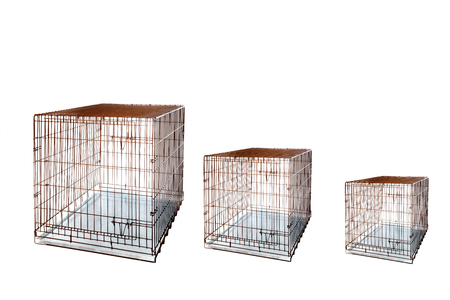 Cage crate Isolated background. Large Dog Cratesの写真素材