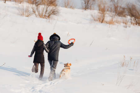 Man and young woman throwing toy for dogs labrador in snow in winter. Concept walk, training.の写真素材