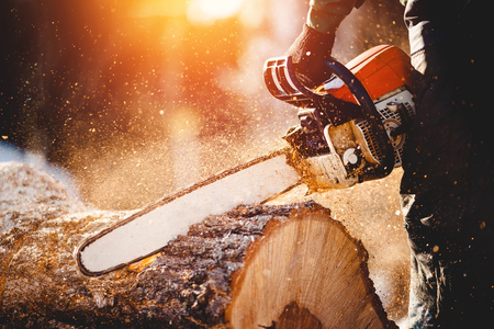 Chainsaw. Close-up of woodcutter sawing chain saw in motion, sawdust fly to sides. Concept is to bring down trees.