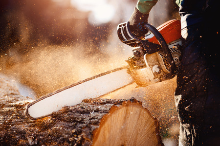 Chainsaw. Chainsaw in move cutting wood. Man cutting wood with saw. Dust and movements.の写真素材