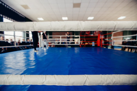 Boxing ring blue with white ropes, light backgroundの写真素材