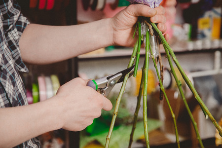 Florist holds pruner for cutting flowers, concept is to collect bouquetの写真素材