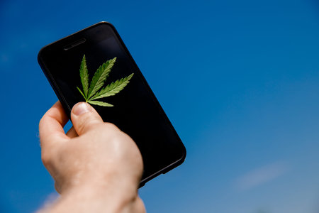 Man hand hold Bush green marijuana cannabis on sky phone background. Concept order online