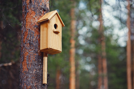 Birdhouse is attached to tree in forest. Concept springの写真素材