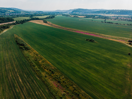 Field in farm is sown with barley, buckwheat, wheat, plowed land for planting crop. Aerial photography, top view.の写真素材