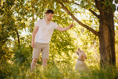 Owner man walks and trains labrador dog in park. Concept friendshipの写真素材