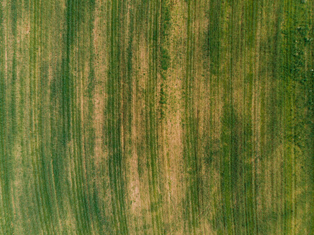 Field in farm is sown with barley, buckwheat, wheat, plowed land for planting crop. Aerial photography, top view.の写真素材