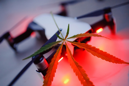 Delivery cannabis marijuana hemp with help of drone. Concept of dealer contraband.の写真素材