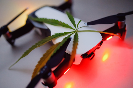 Delivery cannabis marijuana hemp with help of drone through air across border. Concept of dealer contraband, narcotic traffic.の写真素材