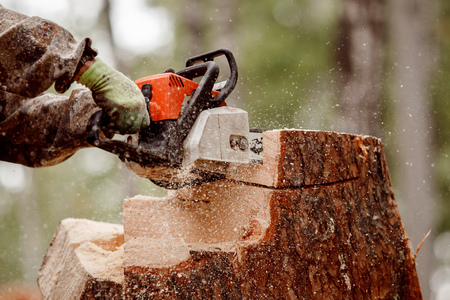 Close-up of woodcutter lumberjack is man chainsaw tree.の写真素材