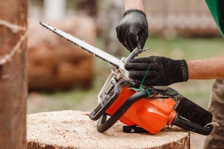 Woodcutter man repairs chainsaw, sharpens chain in forestの写真素材