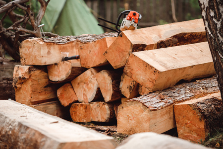 Close-up of woodcutter lumberjack is man chainsaw tree.の写真素材
