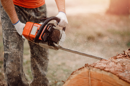 Close-up of woodcutter lumberjack is man chainsaw tree.の写真素材