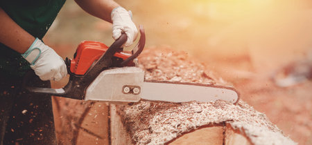 Close-up of woodcutter lumberjack is man chainsaw tree. banner