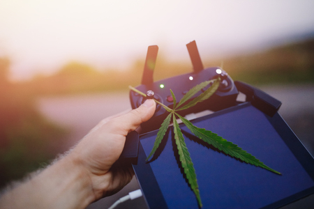 Delivery cannabis marijuana hemp with help of drone through air across border. Concept of dealer contraband, narcotic traffic.の写真素材
