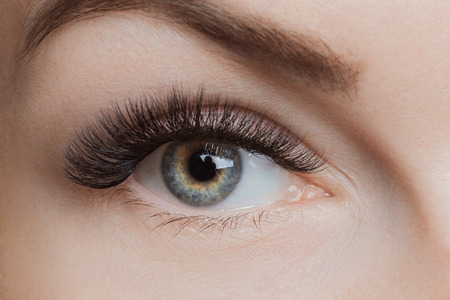 Eyelash extension procedure. Beautiful female eyes with long lashes, closeupの写真素材